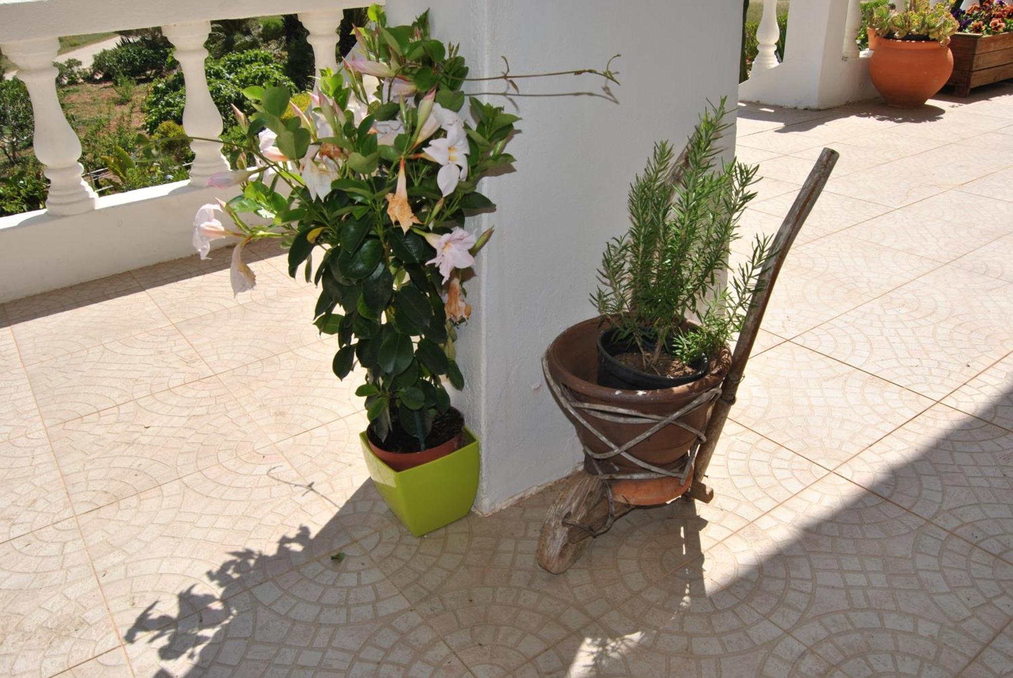 Vivenda Familia Pedro Hotel Vila do Bispo Exterior photo