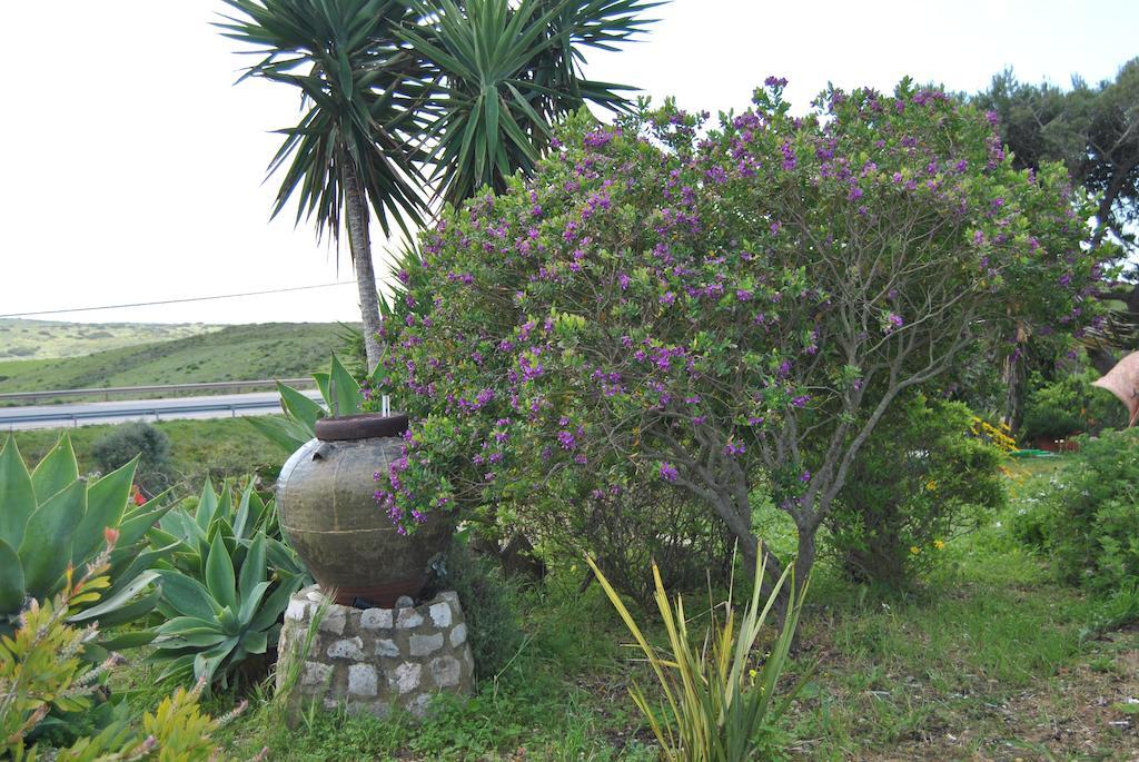 Vivenda Familia Pedro Hotel Vila do Bispo Exterior photo